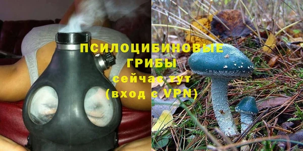 mdpv Дмитровск