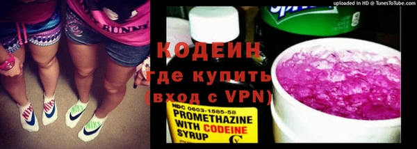 ешки Дмитриев