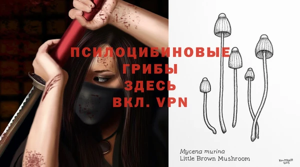 СК Дмитров