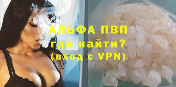 СК Дмитров