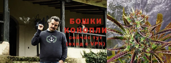 ешки Дмитриев