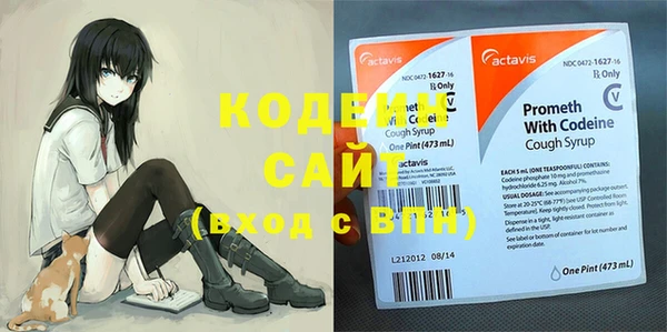 ешки Дмитриев